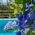La Riviera Seaside & Hotel apartamentowy Barbati